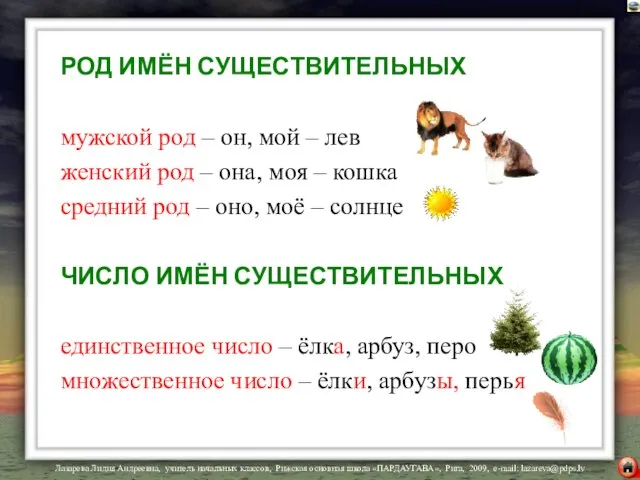 РОД ИМЁН СУЩЕСТВИТЕЛЬНЫХ мужской род – он, мой – лев женский