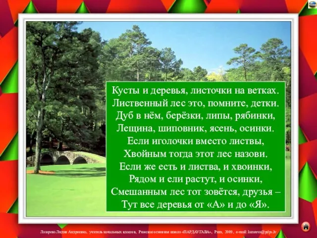 Кусты и деревья, листочки на ветках. Лиственный лес это, помните, детки.