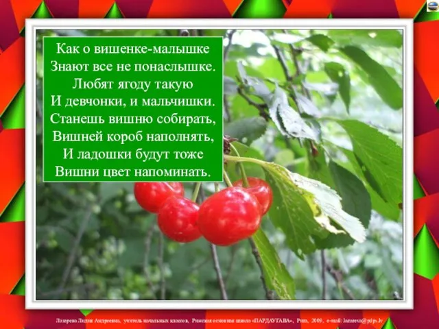 Как о вишенке-малышке Знают все не понаслышке. Любят ягоду такую И