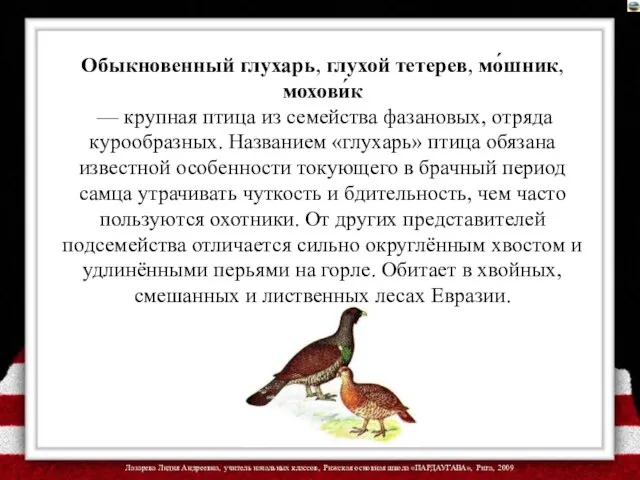 Обыкновенный глухарь, глухой тетерев, мо́шник, мохови́к — крупная птица из семейства