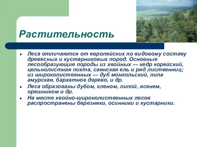 Растительность Леса отличаются от европейских по видовому составу древесных и кустарниковых