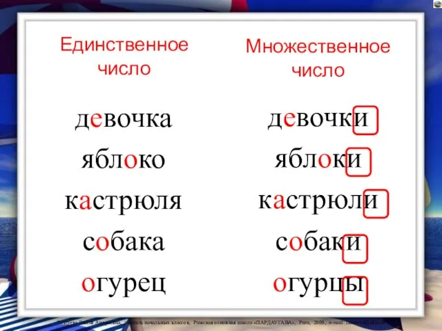 девочка яблоко кастрюля собака огурец девочки яблоки кастрюли собаки огурцы Единственное число Множественное число