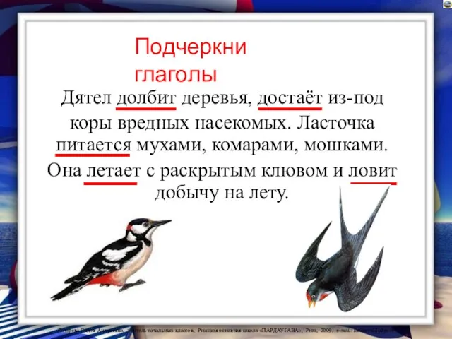 Дятел долбит деревья, достаёт из-под коры вредных насекомых. Ласточка питается мухами,