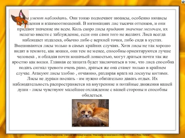 Лисы умеют наблюдать. Они тонко подмечают нюансы, особенно нюансы поведения и