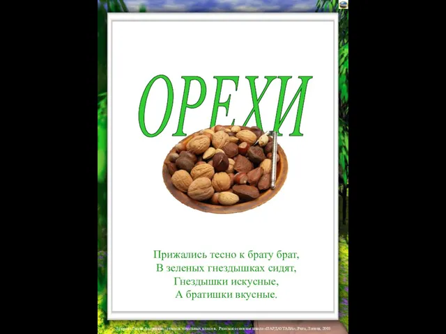 ОРЕХИ Прижались тесно к брату брат, В зеленых гнездышках сидят, Гнездышки искусные, А братишки вкусные.