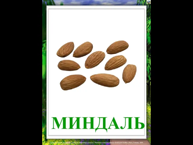 МИНДАЛЬ