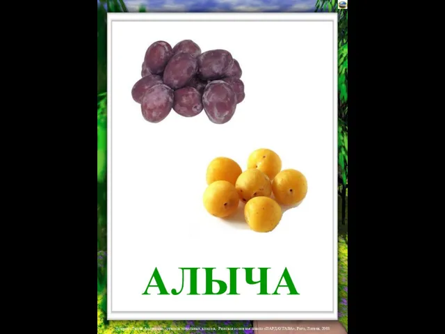 АЛЫЧА