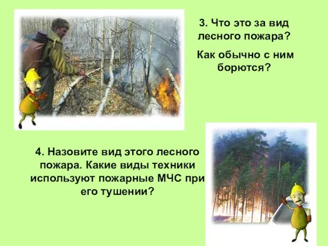 3. Что это за вид лесного пожара? Как обычно с ним