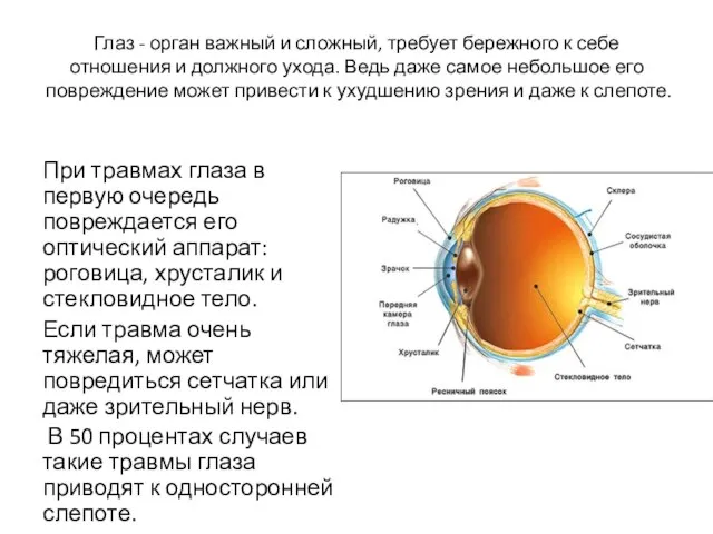 Глаз - орган важный и сложный, требует бережного к себе отношения