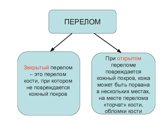 ПЕРЕЛОМ Закрытый перелом – это перелом кости, при котором не повреждается