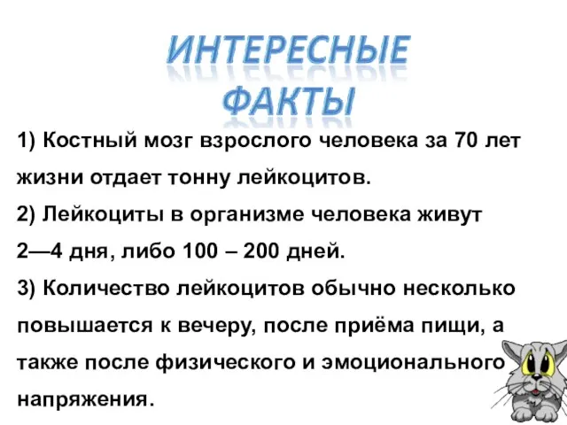 1) Костный мозг взрослого человека за 70 лет жизни отдает тонну