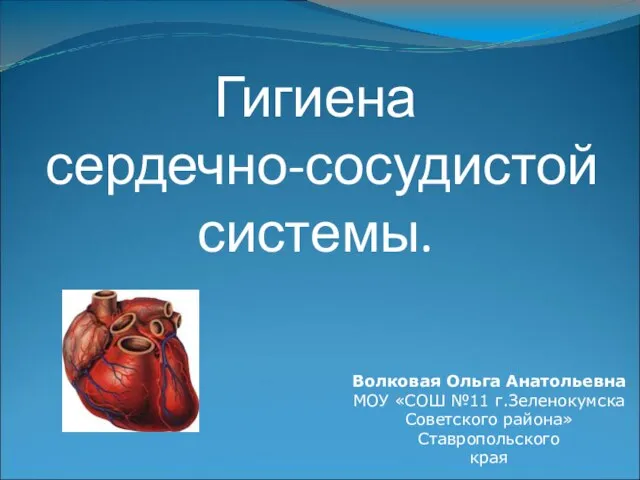 Гигиена сердечно-сосудистой системы. Волковая Ольга Анатольевна МОУ «СОШ №11 г.Зеленокумска Советского района» Ставропольского края