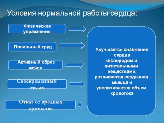 Условия нормальной работы сердца: Физические упражнения Посильный труд Активный образ жизни