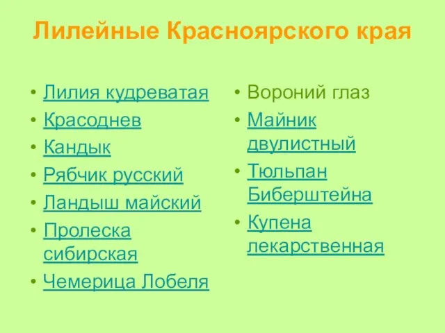 Лилейные Красноярского края Лилия кудреватая Красоднев Кандык Рябчик русский Ландыш майский