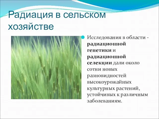 Радиация в сельском хозяйстве Исследования в области - радиационной генетики и