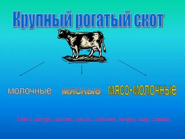 Крупный рогатый скот молочные мясные мясо-молочные Мясо, шкура, молоко, масло, сметана, творог, сыр, сливки.