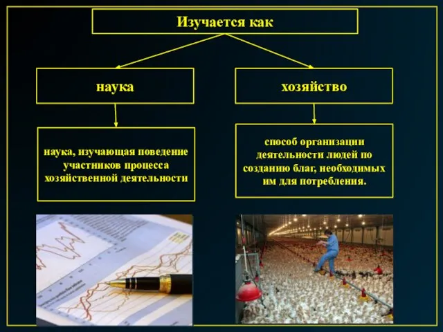 Изучается как наука хозяйство способ организации деятельности людей по созданию благ,