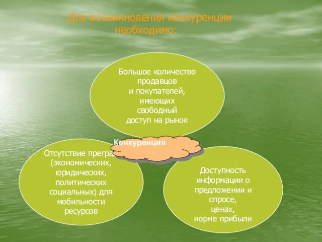 Большое количество продавцов и покупателей, имеющих свободный доступ на рынок Отсутствие