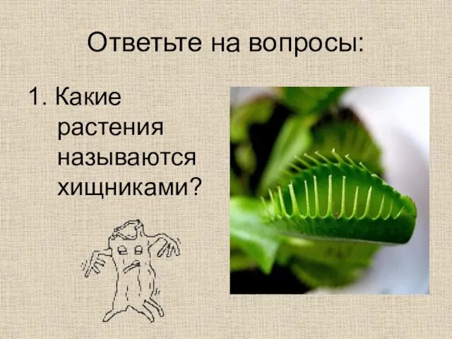 Ответьте на вопросы: 1. Какие растения называются хищниками?