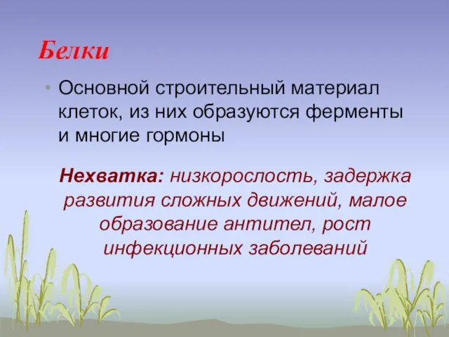 Белки Основной строительный материал клеток, из них образуются ферменты и многие