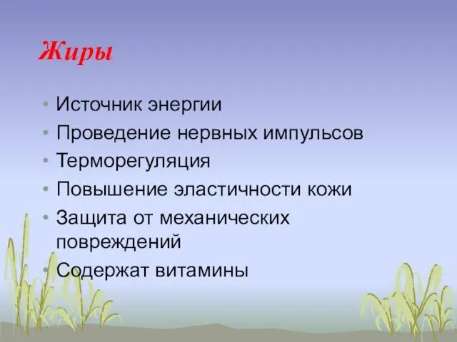 Жиры Источник энергии Проведение нервных импульсов Терморегуляция Повышение эластичности кожи Защита от механических повреждений Содержат витамины