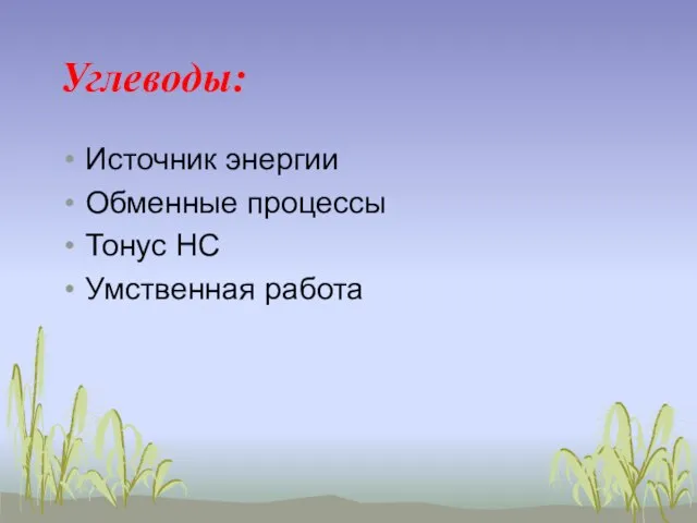 Углеводы: Источник энергии Обменные процессы Тонус НС Умственная работа