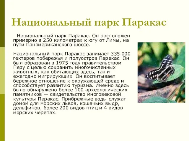 Национальный парк Паракас Национальный парк Паракас. Он расположен примерно в 250