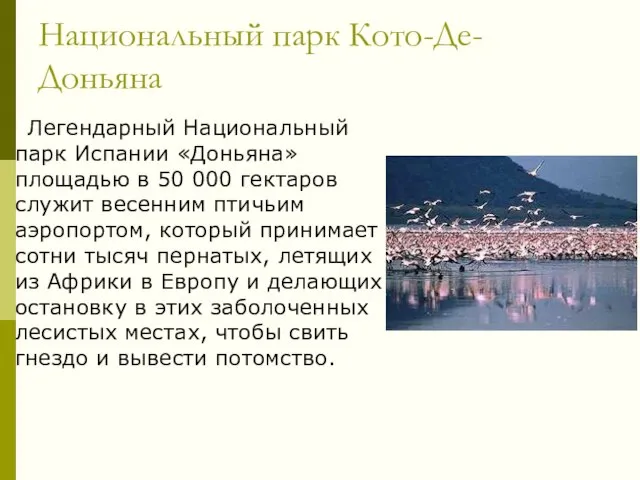 Национальный парк Кото-Де-Доньяна Легендарный Национальный парк Испании «Доньяна» площадью в 50