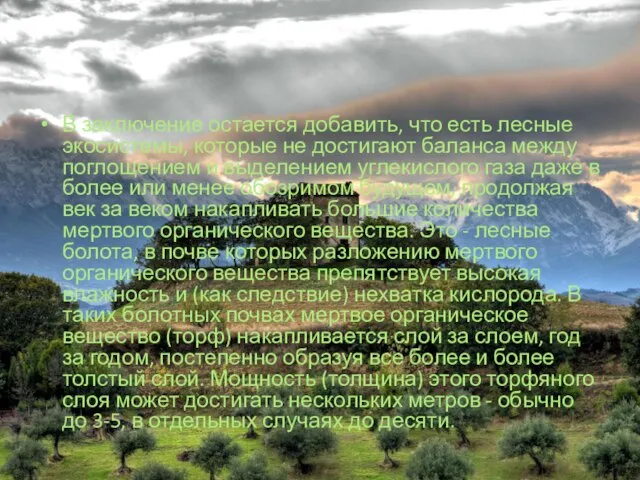 В заключение остается добавить, что есть лесные экосистемы, которые не достигают