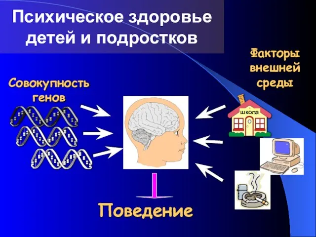 Психическое здоровье детей и подростков Факторы внешней среды Совокупность генов Поведение