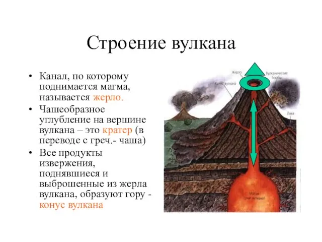 Строение вулкана Канал, по которому поднимается магма, называется жерло. Чашеобразное углубление