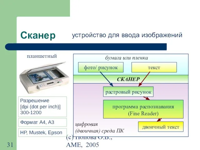 (с) Попова О.В., AME, 2005 Сканер устройство для ввода изображений планшетный