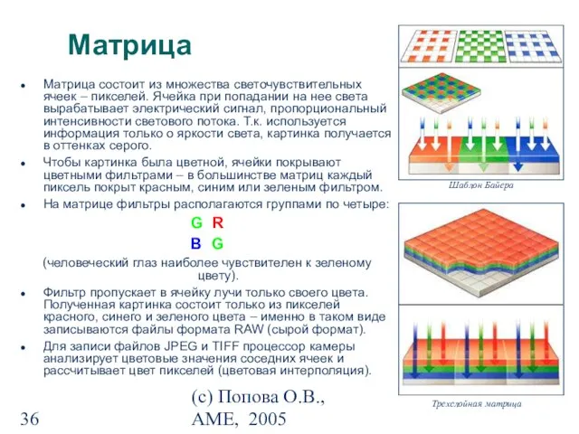 (с) Попова О.В., AME, 2005 Матрица Матрица состоит из множества светочувствительных