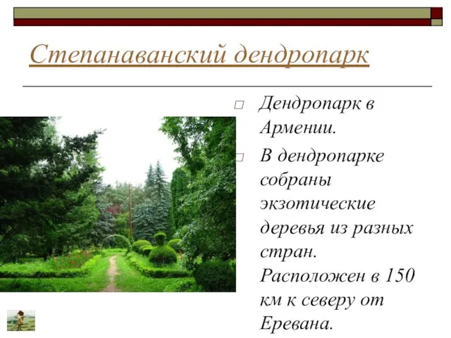 Степанаванский дендропарк Дендропарк в Армении. В дендропарке собраны экзотические деревья из