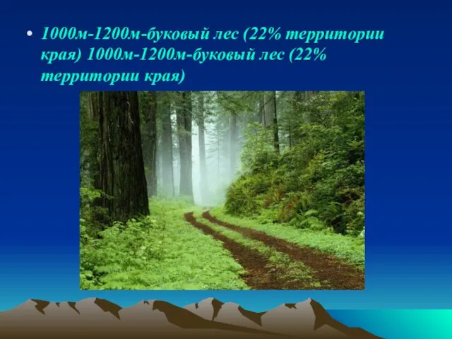 1000м-1200м-буковый лес (22% территории края) 1000м-1200м-буковый лес (22% территории края)