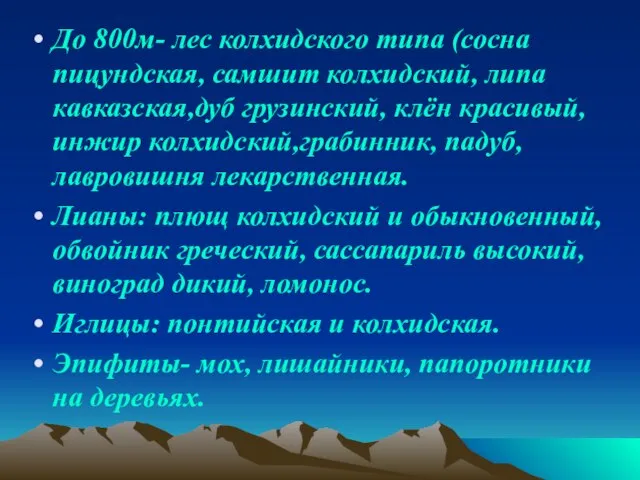 До 800м- лес колхидского типа (сосна пицундская, самшит колхидский, липа кавказская,дуб