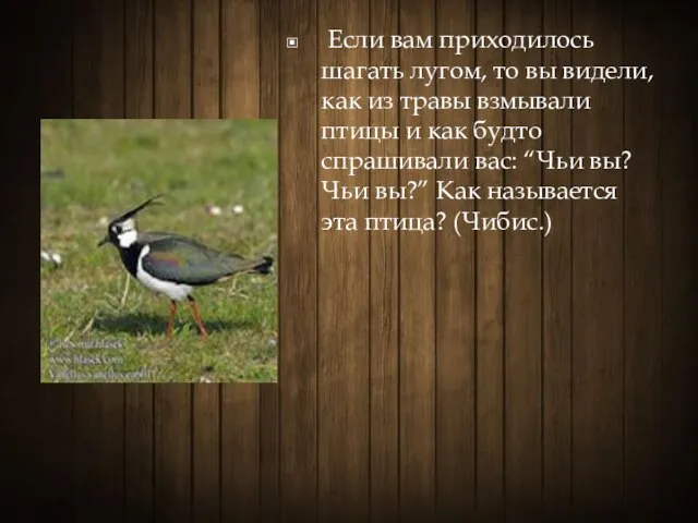 Если вам приходилось шагать лугом, то вы видели, как из травы