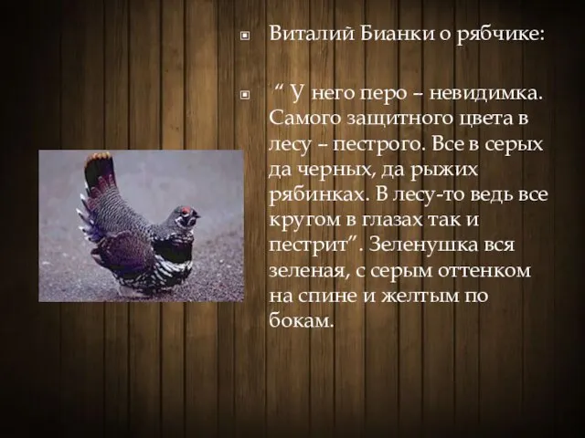 Виталий Бианки о рябчике: “ У него перо – невидимка. Самого