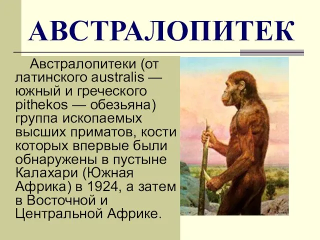 АВСТРАЛОПИТЕК Австралопитеки (от латинского australis — южный и греческого pithеkos —