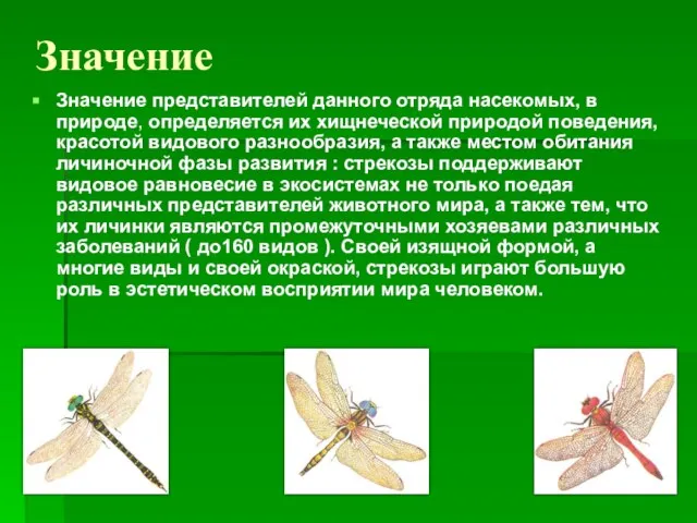 Значение Значение представителей данного отряда насекомых, в природе, определяется их хищнеческой