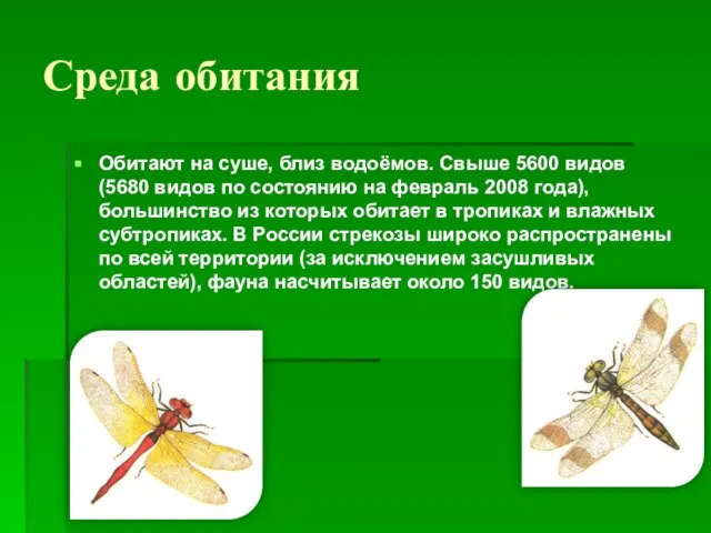 Среда обитания Обитают на суше, близ водоёмов. Свыше 5600 видов (5680