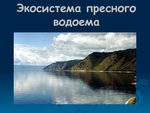 Экосистема пресного водоема