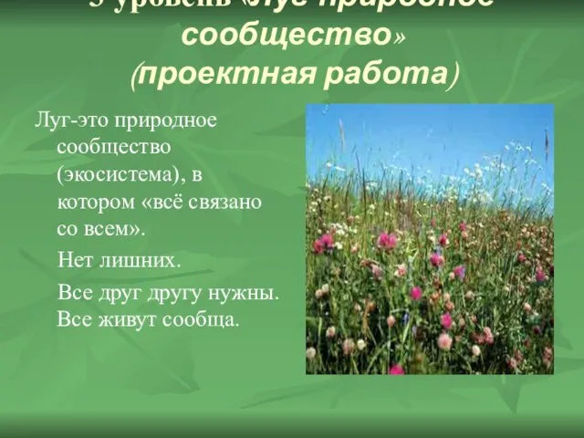 3 уровень «Луг-природное сообщество» (проектная работа) Луг-это природное сообщество (экосистема), в