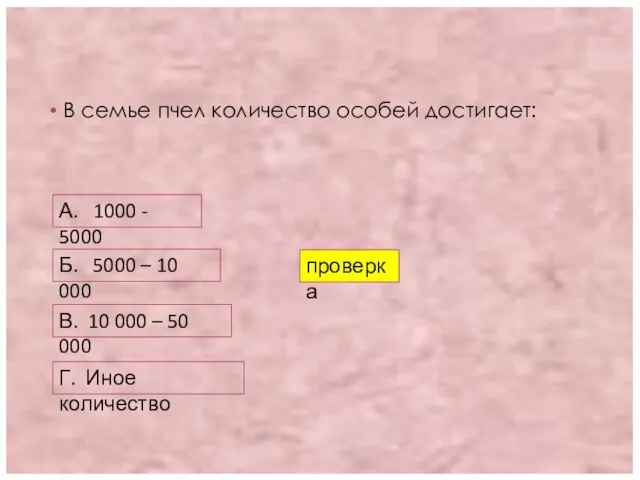 В семье пчел количество особей достигает: А. 1000 - 5000 Б.