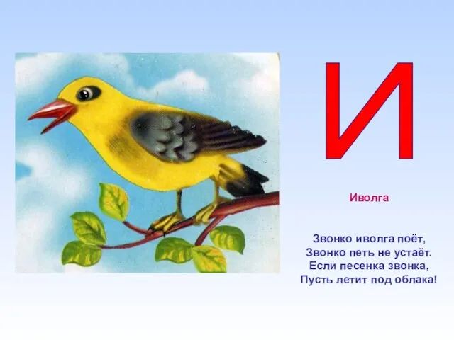 Иволга Звонко иволга поёт, Звонко петь не устаёт. Если песенка звонка, Пусть летит под облака! И