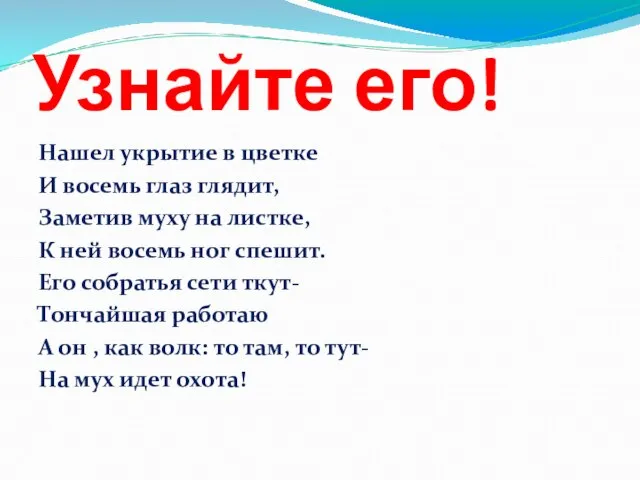 Узнайте его! Нашел укрытие в цветке И восемь глаз глядит, Заметив