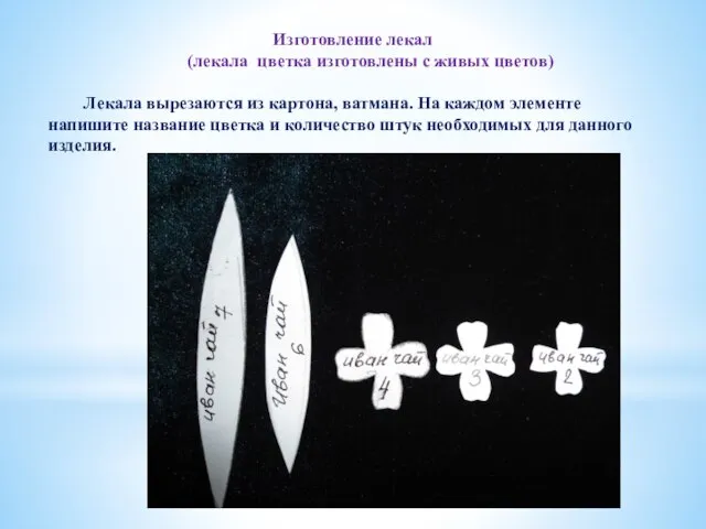 Изготовление лекал (лекала цветка изготовлены с живых цветов) Лекала вырезаются из