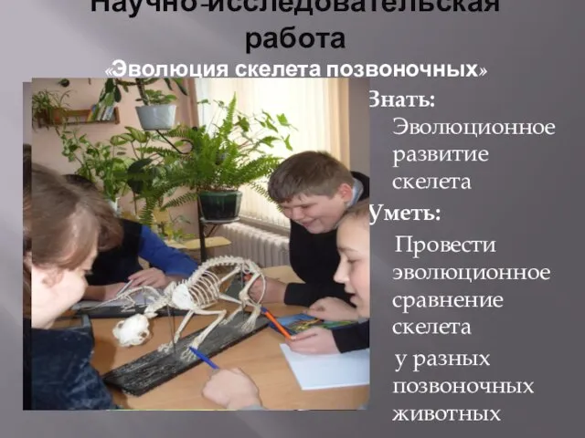 Научно-исследовательская работа «Эволюция скелета позвоночных» Знать: Эволюционное развитие скелета Уметь: Провести