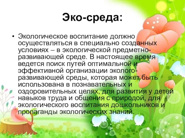 Эко-среда: Экологическое воспитание должно осуществляться в специально созданных условиях – в