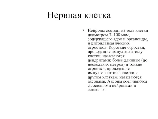 Нервная клетка Нейроны состоят из тела клетки диаметром 3–100 мкм, содержащего